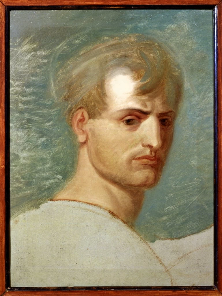 Ritratto di Napoleone
